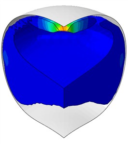 Nature of water behavior at rigid plates