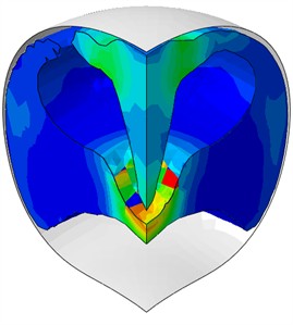 Nature of water behavior at rigid plates