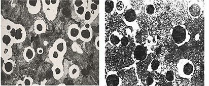 Microstructure of high-strength cast iron of the VCh50 grade during various types of processing:  a) FSMg5 – 2 %; b) GSH-KM-Si46Mg6AlCa2(Cе+La)0.5 – 1.8 %; SXBEG-KM-Si70Al1,  5Ca0.65Ba4-0.3 %; B-BKM-Si75Al4Ca0.9 – 1 %. The original photographs were obtained  in the laboratory of JSC “Foundry and Mechanical Plant”, in Tashkent,  the images were obtained in 2024-2025, the author is U.T. Rakhimov
