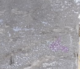 Testing film-forming materials: a) testing the film-forming material with a 10 % solution of hydrochloric acid; b) testing the film-forming material with a 1 % solution of phenolphthalein.  Photograph taken by Tukhtayev Matchon Bekjonovich in the laboratory and on field test sections  of newly constructed cement concrete pavement, Tashkent, Uzbekistan