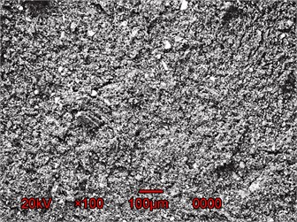 Morphological studies of carbon-containing modifier particles