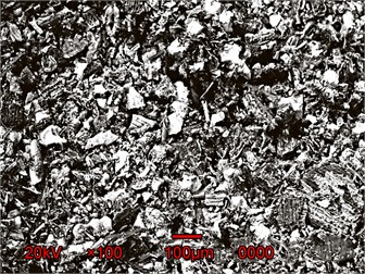 Morphological studies of carbon-containing modifier particles