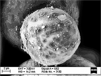 Morphology of electroerosion byproducts (EEBPs) from graphite electrode processing of tool steels