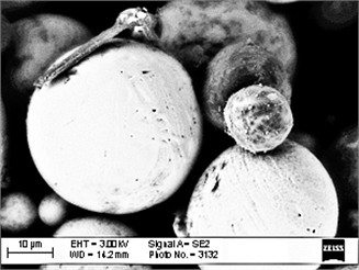 Morphology of electroerosion byproducts (EEBPs) from graphite electrode processing of tool steels