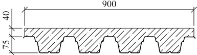 Cross-section of test samples of concrete slabs with steel profiled decking