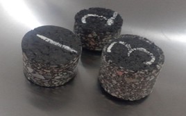 Obtained kernel samples. Photographer Rakhmatov S., laboratory in Termez city, 2022
