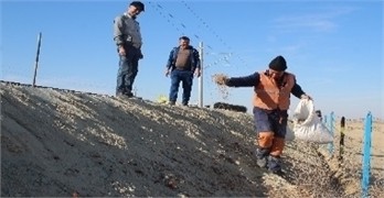 Bukhara-Misken railway line installation of anti-erosion geomat November 2024 and Observation results obtained in April 2025. Photos by A.Sh. Uralov, during field research conducted on the Bukhara-Miskin railway line (Qorlitog‘-Kiyikli section) in November 2024 and April 2025