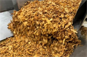 High frequency double-sieve shaker test field diagram.  (Test at Chuzhou Cigarette Factory, Anhui, China, 2024.6.15)