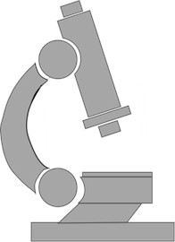 Schematic of ultrasonic CPT in sand