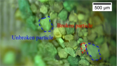 Microstructural characteristics and average particle size of the sands grains adhering  to the cone tip at different relative densities. The photos were taken  by Zhehong Shen at Shaoxing University on November 8, 2024