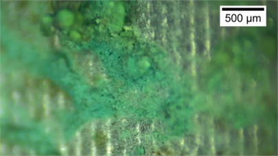 The microstructure of sand grains along the ultrasonic CPT probe (Dr= 75 %).  There photos were taken by Zhehong Shen at Shaoxing University on November 8, 2024