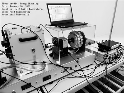 Comprehensive experimental test bench for automotive gearbox bearing faults
