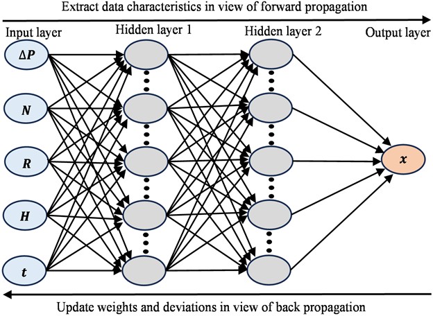 Schematic of the FNN structure