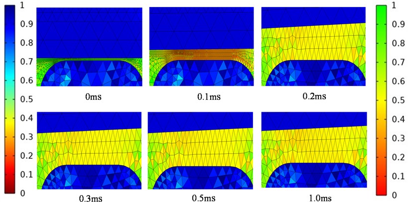 The distribution of the re-meshed element in the crucial region