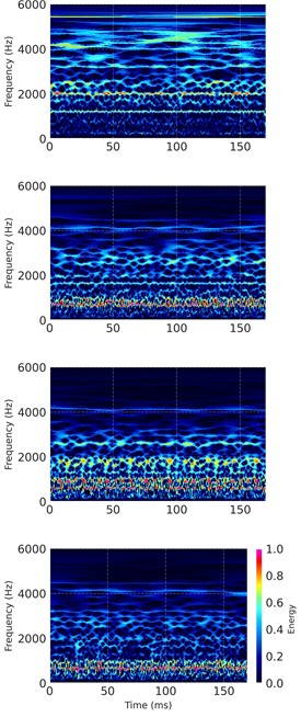 Visualization of signal processing results for different health states. The rows correspond to Normal, Ball Fault, Inner Race Fault, and Outer Race Fault conditions. Columns display: a) Time-domain vibration signals; b) MSWT time-frequency maps from Drive End (DE) sensor; c) MSWT time-frequency maps from Fan End (FE) sensor. The MSWT maps reveal distinct texture patterns and frequency energy distributions for each fault type, whereas time-domain signals are less discriminative