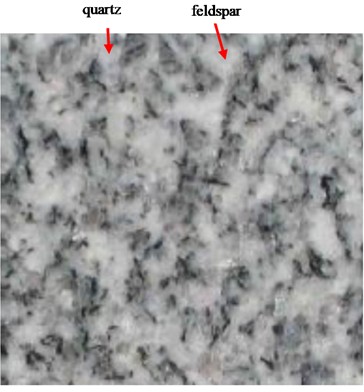Voronoi model of granite grains and cross-section of granite sample: a) Voronoi model with dimensions of 50 mm × 50 mm; b) cross-section of granite sample