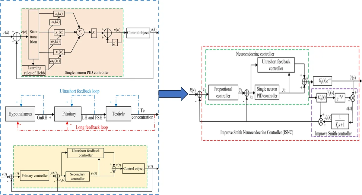 Hybrid smith predictor-neuroendocrine control for semi-active suspension of high-clearance agricultural sprayers
