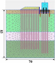 Mesh division of the model