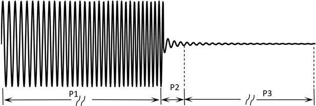 The electrical signal waveform of the coil during measurement process