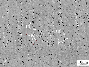SEM images of CoCuNiTiX0.6 (X= Mn, Al) HEACs