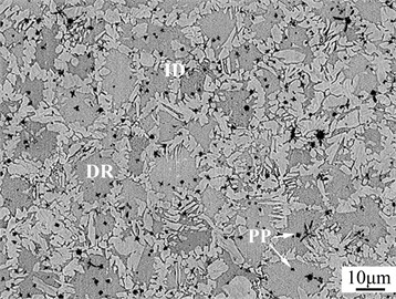 SEM images of CoCuNiTiX0.6 (X= Mn, Al) HEACs