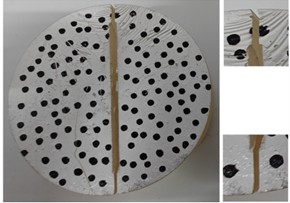 Macroscopic fracture failure mode of CCNBD specimens