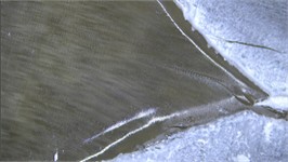 Microscopic fracture morphology of CCNBD specimens