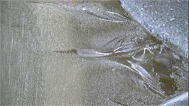 Microscopic fracture morphology of CCNBD specimens