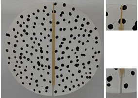 Macroscopic fracture failure mode of CCNBD specimens