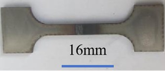 Tensile specimen and its residual material. Photo by Chen Yuehan, Nanyang, China, Dec 2, 2025