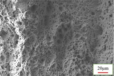 SEM morphology of tensile specimen fracture surface.  Photo by CHEN Yuehan, Nanyang, China, Dec 11, 2025