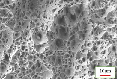 SEM morphology of tensile specimen fracture surface.  Photo by CHEN Yuehan, Nanyang, China, Dec 11, 2025