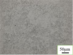 Metallographic structure of Q235/304 welded joints.  Photo by Chen Yuehan, Nanyang, China, Dec 7, 2025