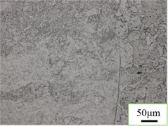 Metallographic structure of Q235/304 welded joints.  Photo by Chen Yuehan, Nanyang, China, Dec 7, 2025