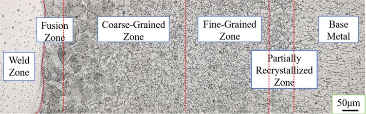 Metallographic structure of the Q235 side in Q235/304 welded joints.  Photo by CHEN Yuehan, Nanyang, China, Dec 10, 2025