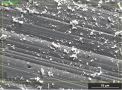 Changes in the microstructure of the samples: a) sample without tantalum oxide addition;  b) sample with tantalum oxide addition