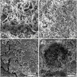 Microstructure of newly formed products (28 days): a), c) plain cement stone; b), d) cement stone based on the composite binder (CB). Original micrographs obtained by the authors at the Tashkent State Transport University laboratory, 2025