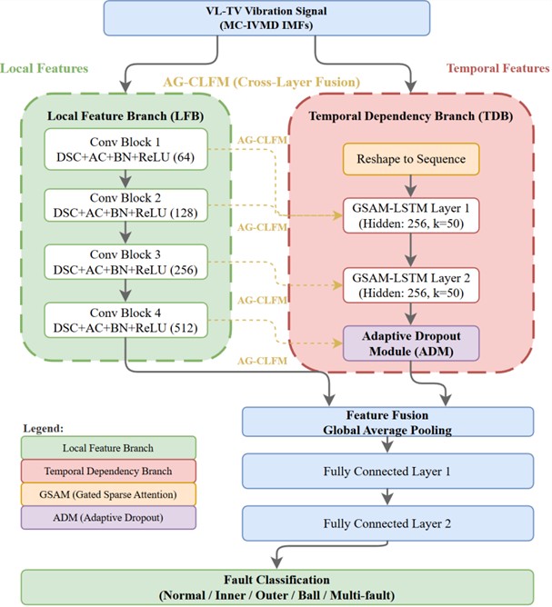 The structural framework of CLSAM++