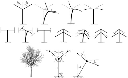 Example of simplified discrete and continuous models for tree vibration analysis, with the tree trunk, branches, and sub-branches all simplified as pointwise masses, interconnected through springs and dampers, which can inform the optimal sensor placement for investigating global and local modes