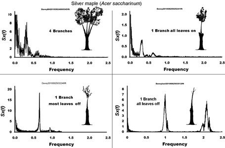Key issues related to vibration-only SHM  (not accounting for tree parameters and static and environmental monitoring)