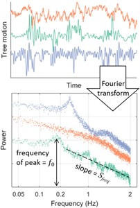 Key issues related to vibration-only SHM  (not accounting for tree parameters and static and environmental monitoring)