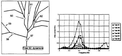 Key issues related to vibration-only SHM  (not accounting for tree parameters and static and environmental monitoring)