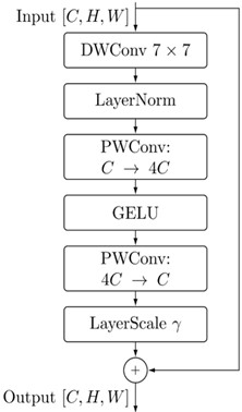 Schematic diagram of the ConvNeXtBlock module