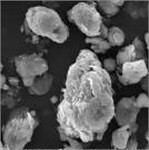 Characteristic morphology of dispersed particles