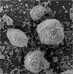Characteristic morphology of dispersed particles