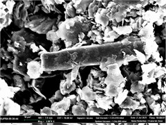 Morphology of colloidal graphite C-1
