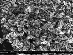 Morphology of colloidal graphite C-1