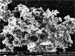 Morphology of colloidal graphite C-1