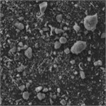 Characteristic morphology of dispersed particles