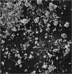Characteristic morphology of dispersed particles
